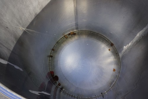 Behälter 600 Liter aus V2A, einwandig, gebraucht